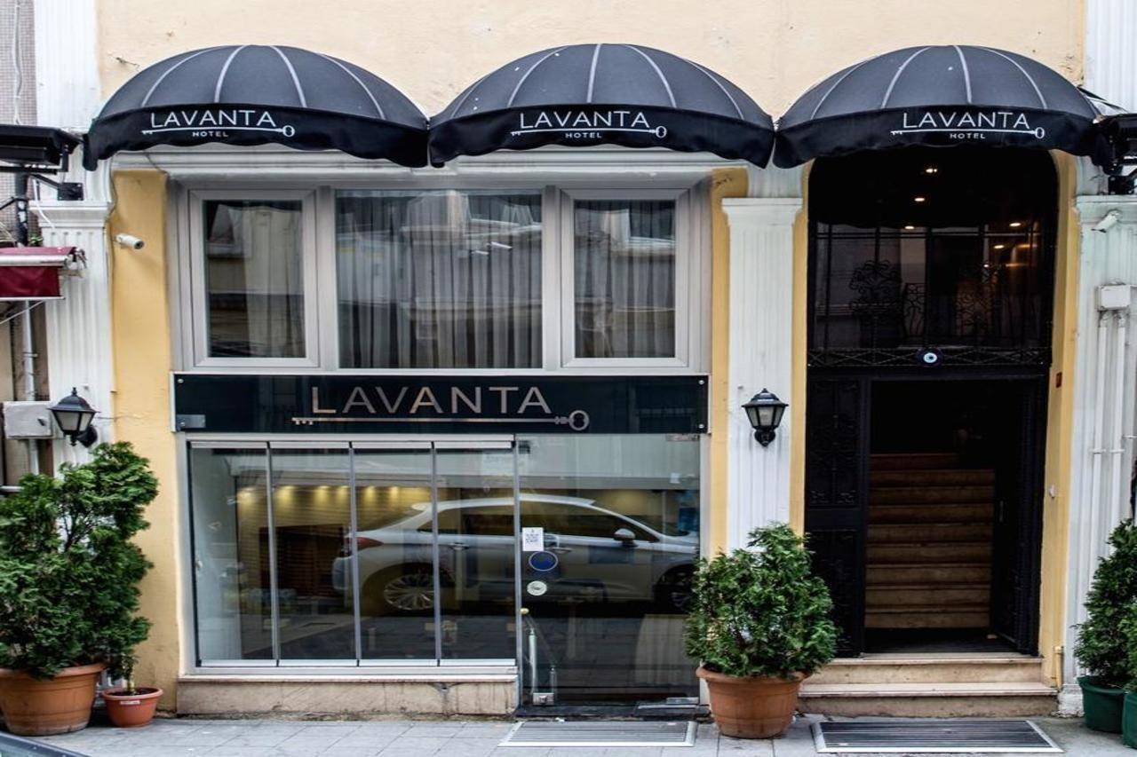 Lavanta איסטמבול